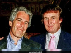 30ddbb3o_jeffrey-epstein-trump_625x300_01_November_24